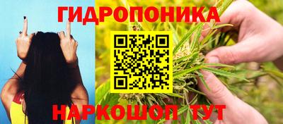 2c-b Кимры