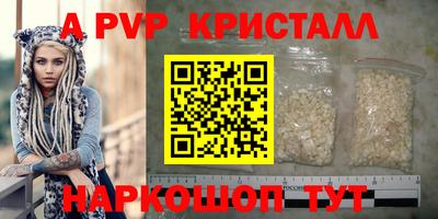 шишки Кингисепп