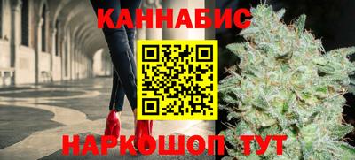 шишки Кингисепп