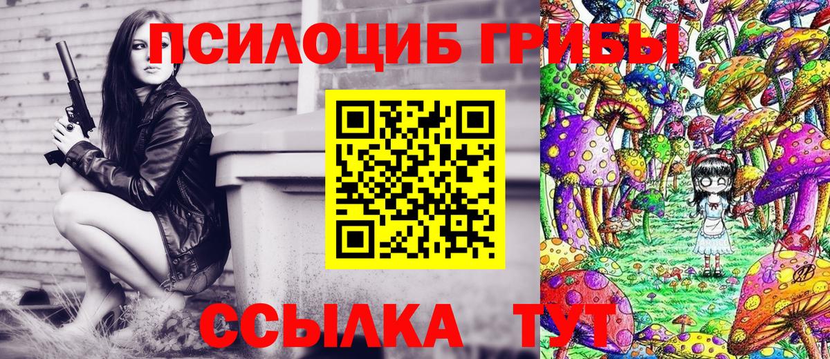 Псилоцибиновые грибы Cubensis  Вход с VPN  Красногорск  магазин продажи наркотиков  Псилоцибиновые грибы GOLDEN TEACHER 